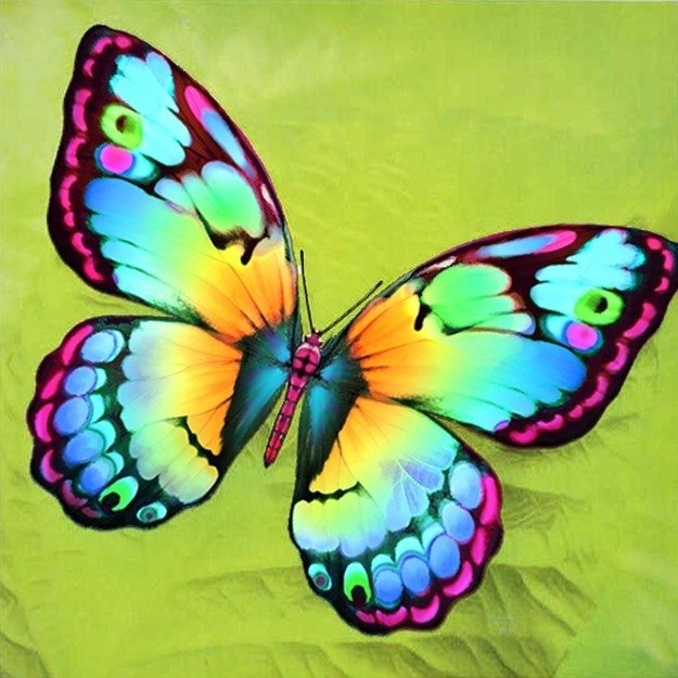 Diamond Painting Haft Diamentowy Mozaika Zestaw 5D 20 16