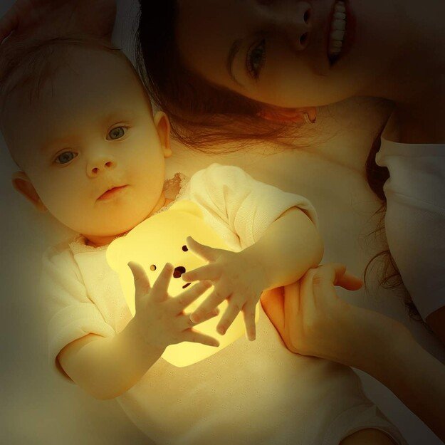 NiteLite - NiteLite Bear - (QN0103) 7