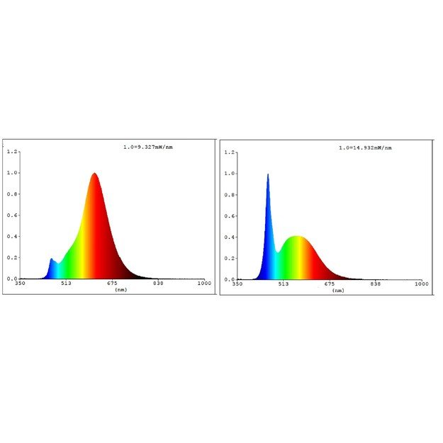 EGLO - E27 G125 spiral, amber - TW - Zigbee, Bluetooth 4