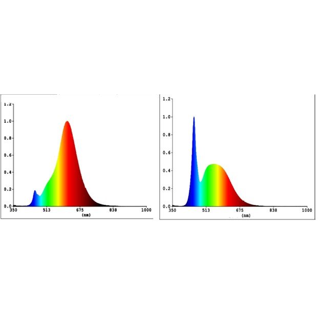 EGLO - E27 G95, clear - TW - Zigbee, Bluetooth 2