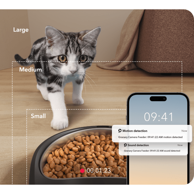 PetLibro - Automatic Cat Black Feeder with Camera  - (PL-AF203-94B) 1