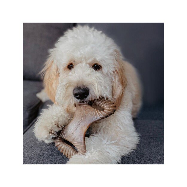 Benebone - Dental Chew Bacon L 21cm - (85411100428) 1