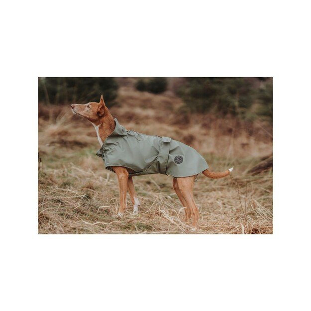 Hunter - Raincoat for dogs Milford 30, green - (69662) 1