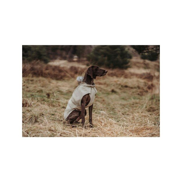 Hunter - Raincoat for dogs Milford 30, taupe - (69674) 4