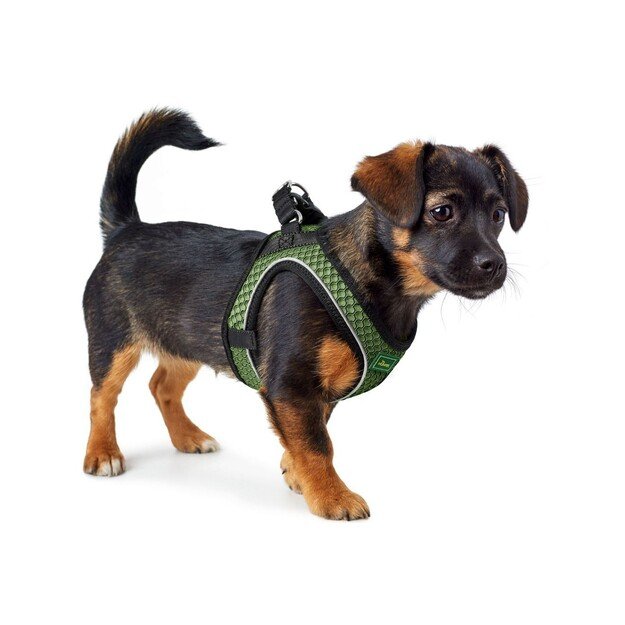 Hunter - Dog harness Hilo Comfort. M-L, green - (401673969802) 2