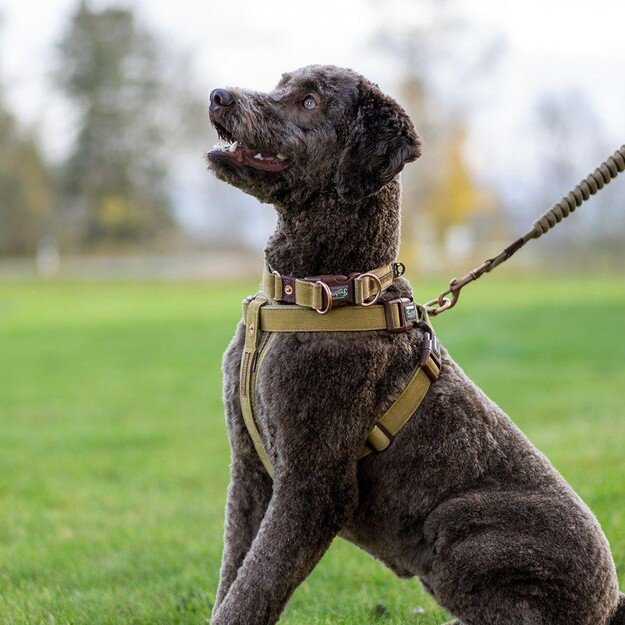 Ezydog - Harness Corduroy Xxl 77-134Cm 41Kg+ - (605.0276) 2