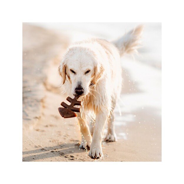 Benebone - Fishbone L  16cm - (810054210085) 3