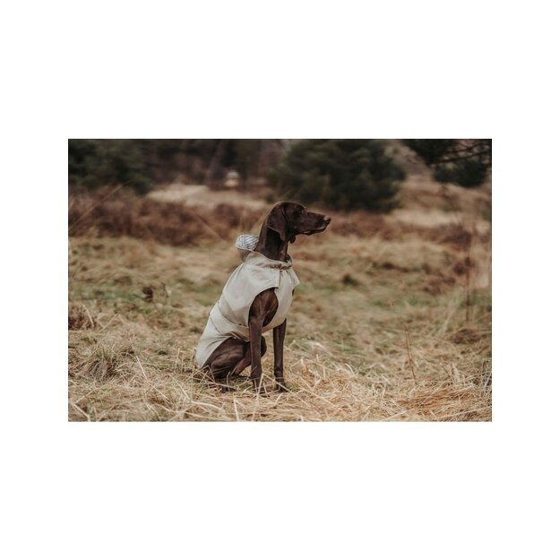 Hunter - Raincoat for dogs Milford 50, taupe - (69678) 4