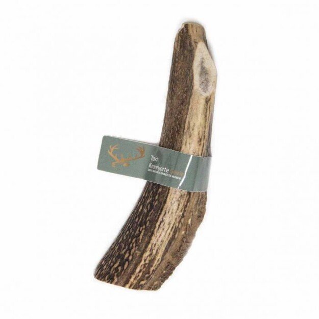 Taki - Deer Antler split XL  18cm- (01-603) 1