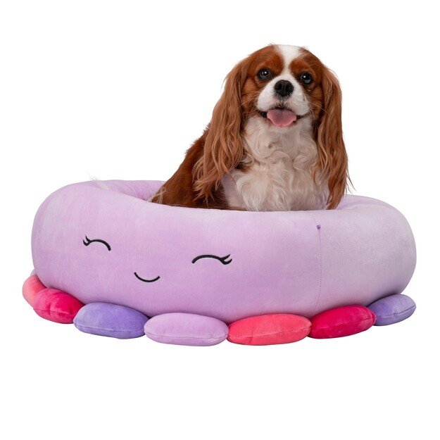 Squishmallows - Pet Bed - Octopus 61 cm (JPT0085-M) 1
