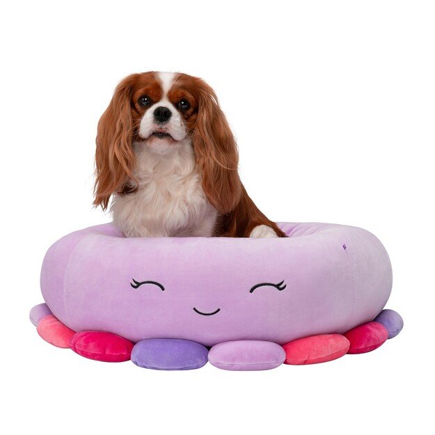 Squishmallows - Pet Bed - Octopus 61 cm (JPT0085-M) 4