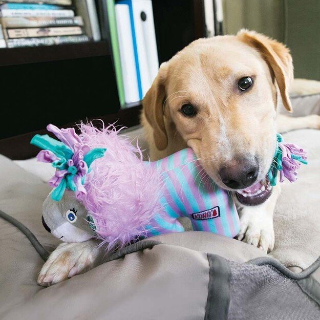 Kong - Knots Carnivallion S/M 18 X 9 X 15 cm 2