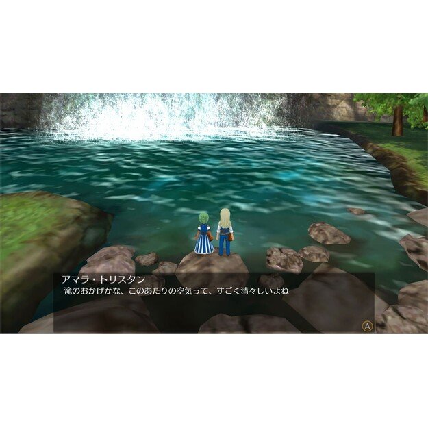 World Neverland: Daily Life in the Elnea Kingdom - Nintendo Switch 2