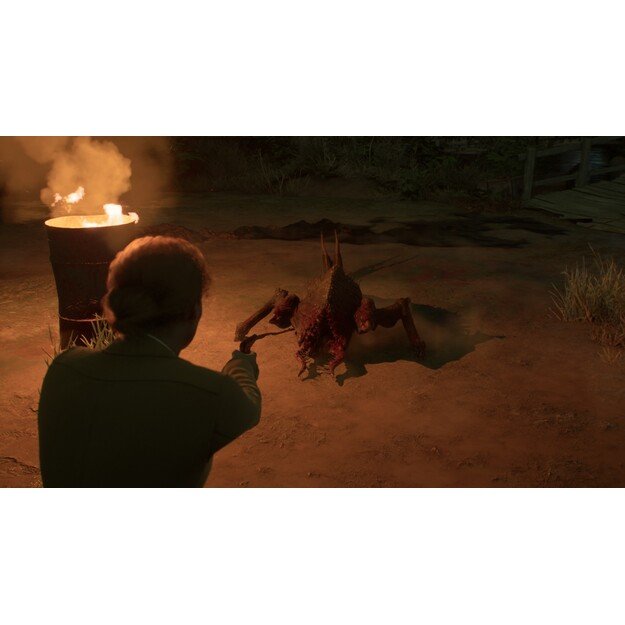Alone in the Dark
      
        - PlayStation 5 2