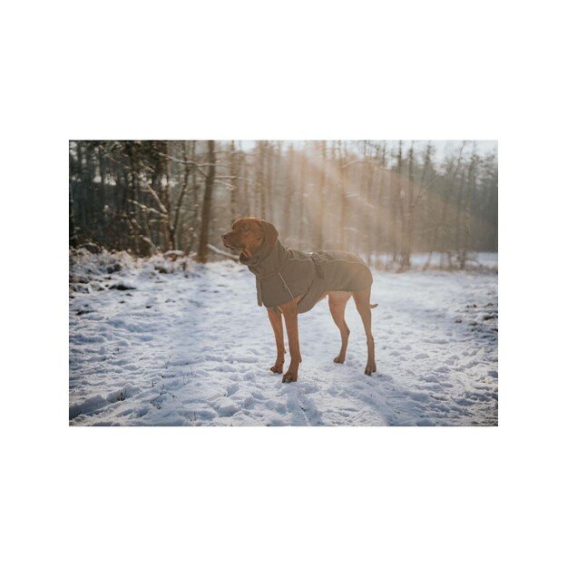 Hunter - Dogcoat Nordby 30, olive - (203433) 4