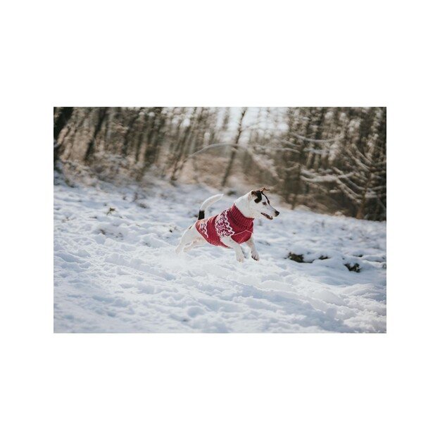 Hunter - Dogcoat Birka 40, red - (203471) 1