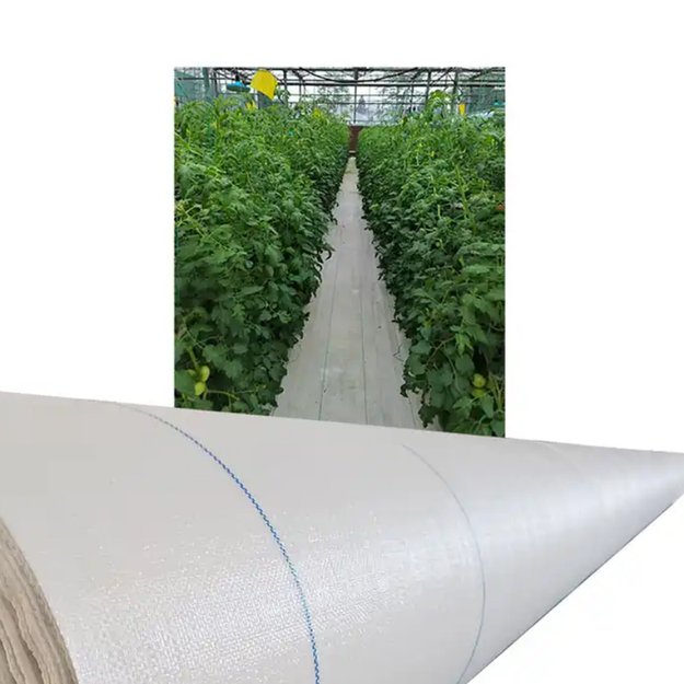 AGROWŁÓKNINA 100G 1,6x50m BIAŁA UV AGROTKANINA MATA ANTYCHWASTOWA 20