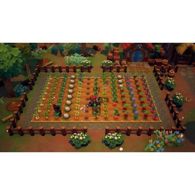 Fae Farm
      
        - Nintendo Switch 5