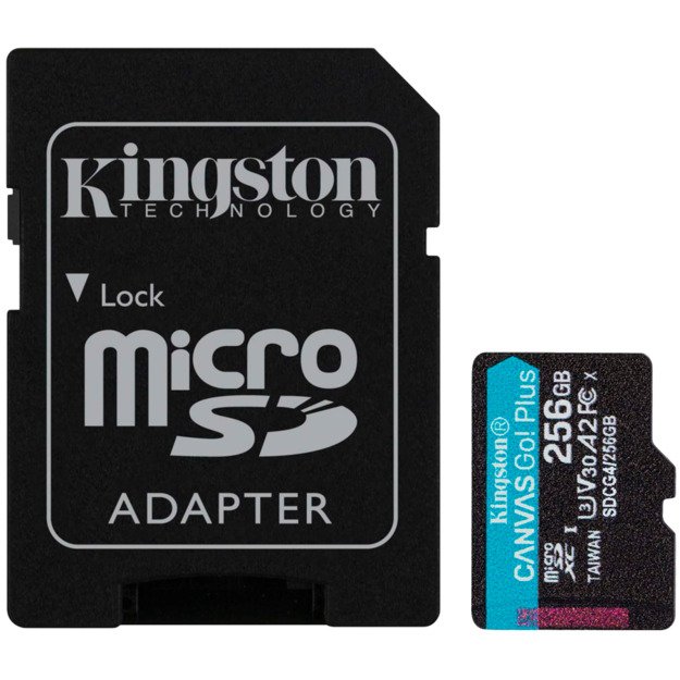 Memory Flash cards KINGSTON SDCG4/256GB 2
