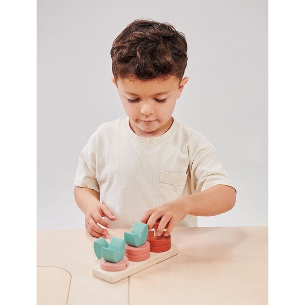 Mentari - Counting Vegetables - (MT7108) 1
