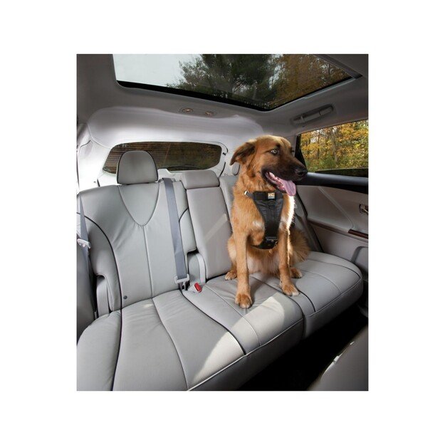 Kurgo - Strength Tru-Fit Dog Car Harness S, black - (81314601256) 1
