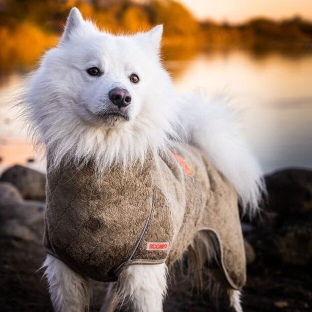 Siccaro - Supreme 2.0 Elmwood 70 - Dog Coat f/drying (S1010) 2