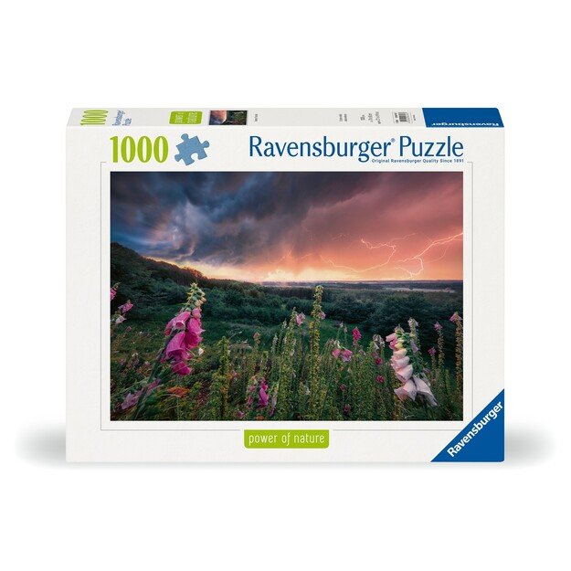 Ravensburger - Puzzle Dreamy Thunder 1000p (12000793) 1