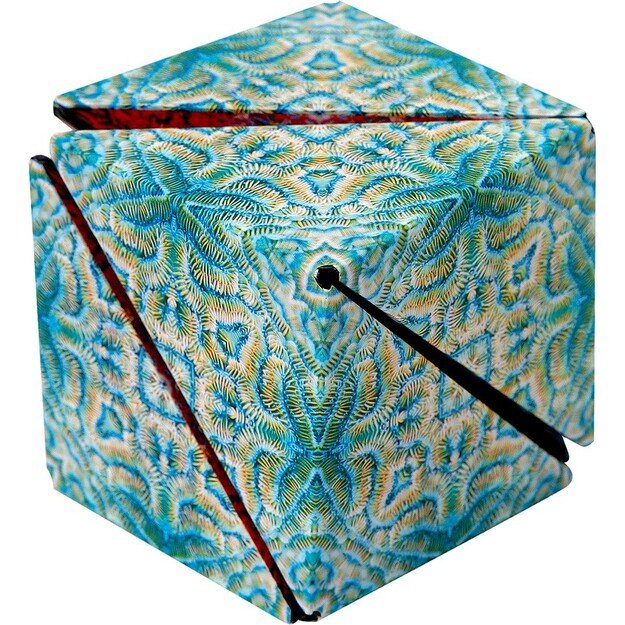 Shashibo - Undersea (33002284) 2