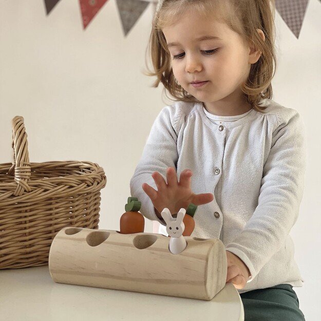 Egmont Toys - Rabbit and Vegetables Log - (511120) 1