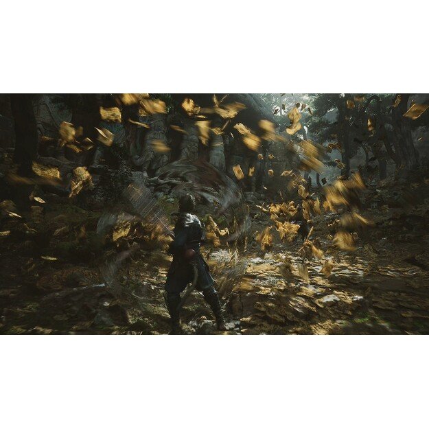 Black Myth: Wukong

  - PlayStation 5 2
