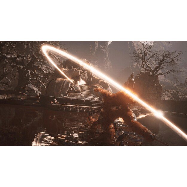 Black Myth: Wukong

  - PlayStation 5 3