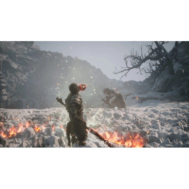 Black Myth: Wukong

  - PlayStation 5 6