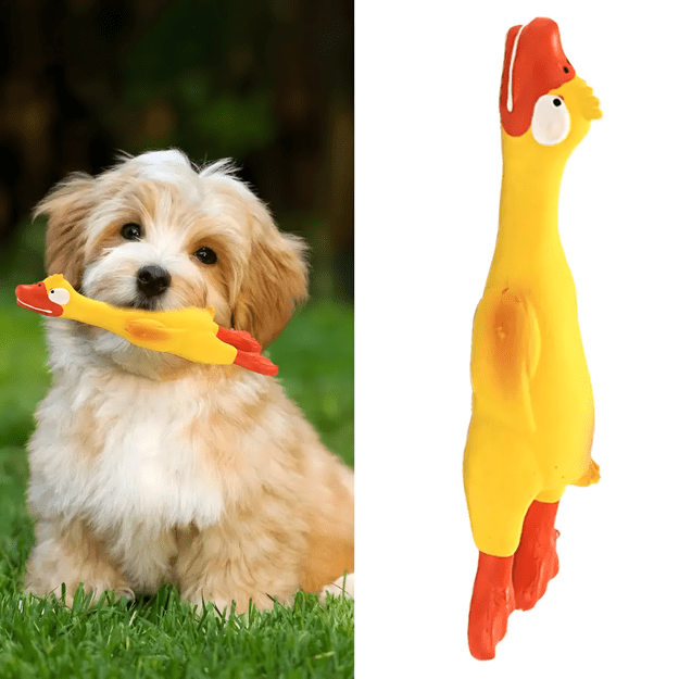 Piszcząca Duża Zabawka Gumowy Kurczak Duży dla Psa Szczeniaka Gryzak 22 cm 9