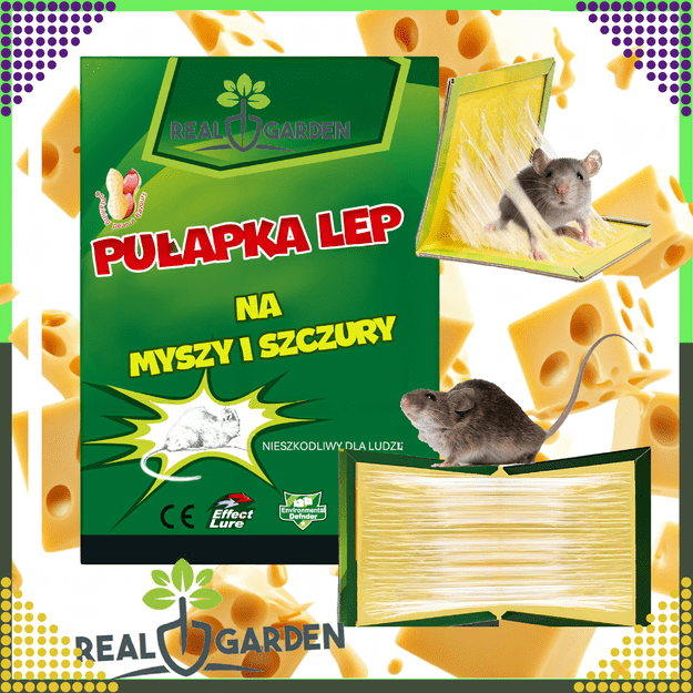 60x Pułapka Myszołapka na Myszy Szczury Silny Klej Mocna Lep Zapachowa 2