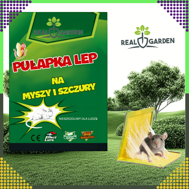 60x Pułapka Myszołapka na Myszy Szczury Silny Klej Mocna Lep Zapachowa 8