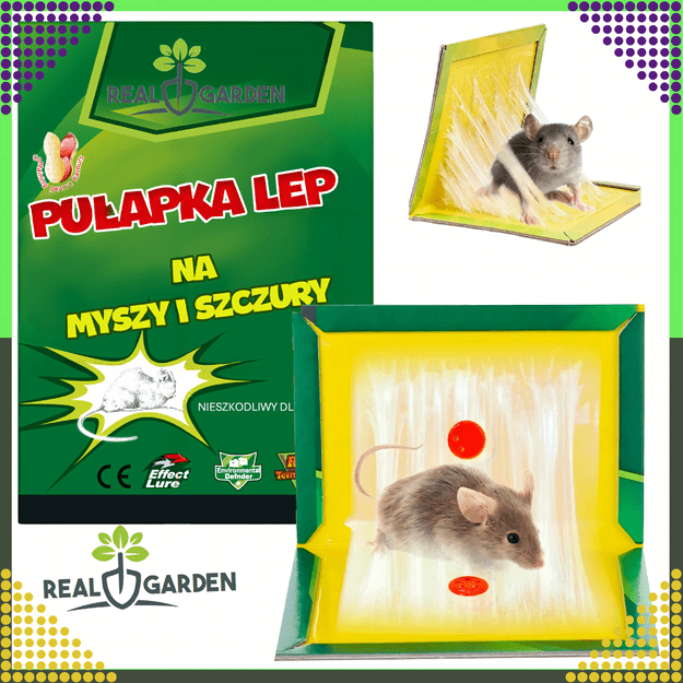 60x Pułapka Myszołapka na Myszy Szczury Silny Klej Mocna Lep Zapachowa 4