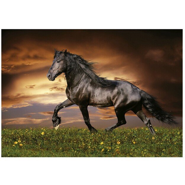 Educa - 1000 pcs - Trotting Horse Puzzle (80-19555) 1