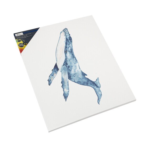 Nassau - Canvas 50x70cm  - (K-AR1007/GE) 2