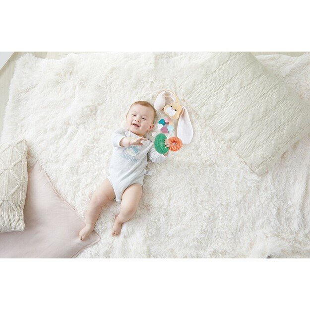 Hape - Bunny Stacker (87-0107) 2