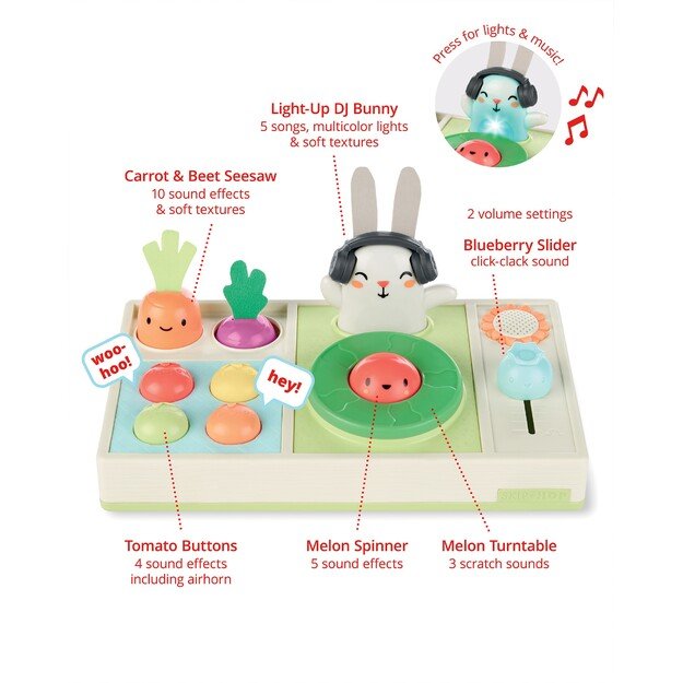 Skip Hop - Farm stand Activity toy DJ Set 2