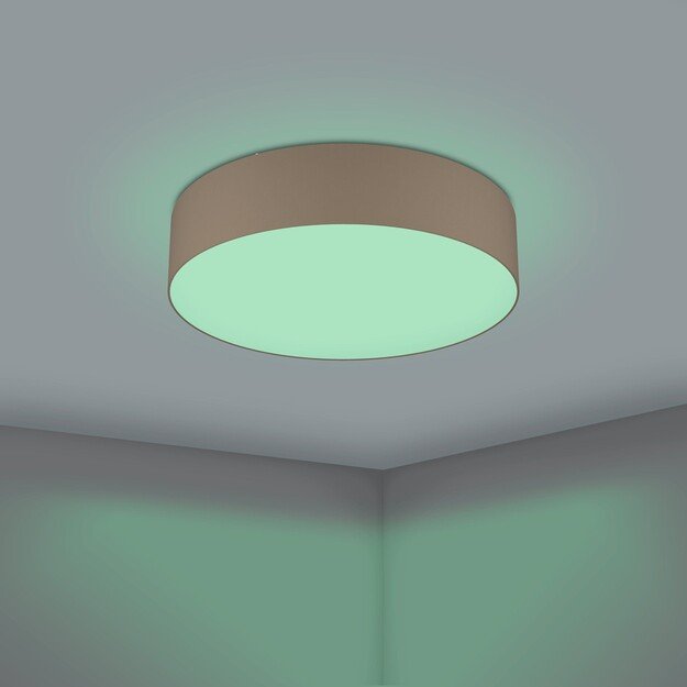 EGLO - Romao-Z loft lamp taupe Ø57 - RGB + TW - Zigbee, Bluetooth 1