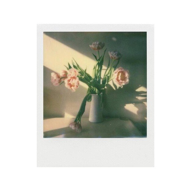 Polaroid - Color i-Type Film 16-Pack 3