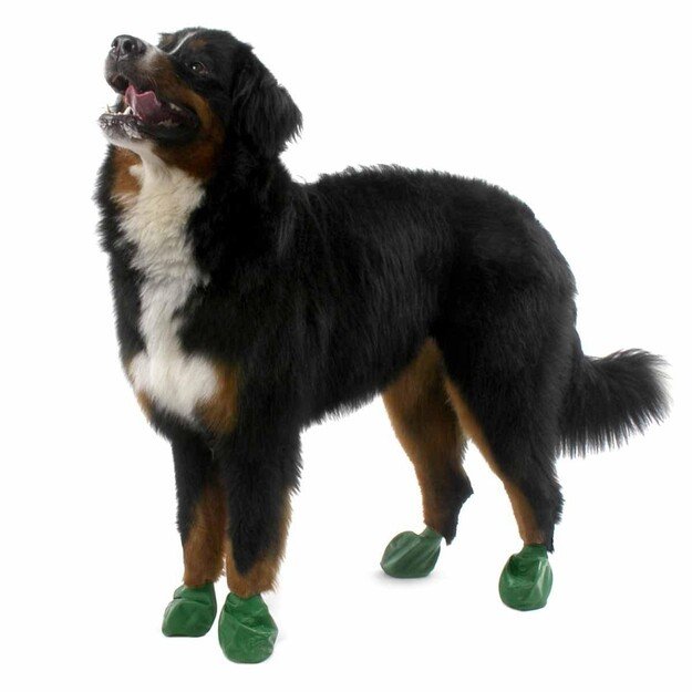 PAWZ - Dog boots Xl - Green (632.8052) 3