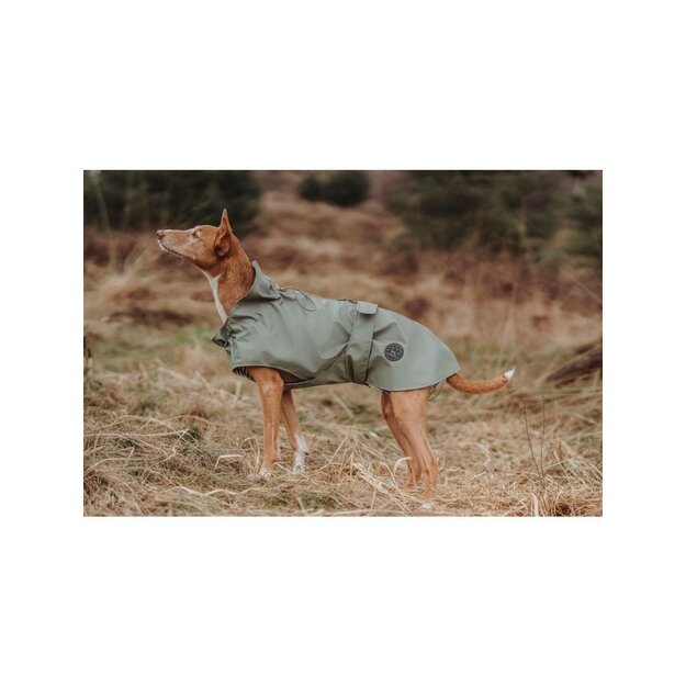 Hunter - Raincoat for dogs Milford 75, green - (69671) 3
