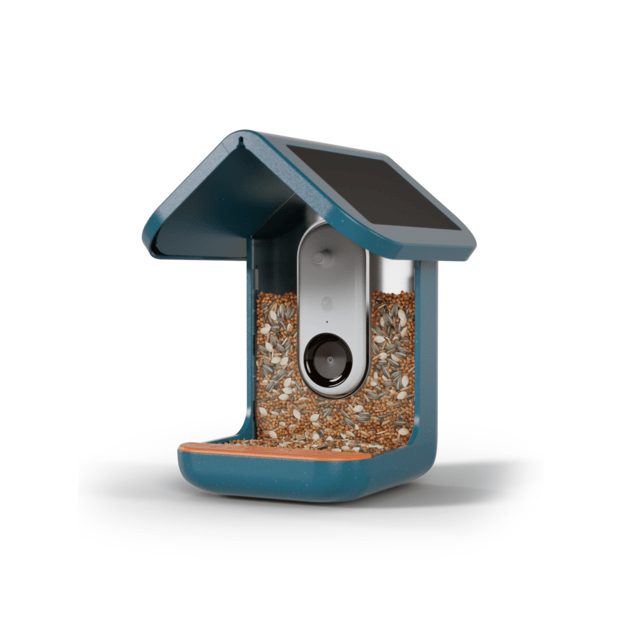 BirdBuddy - Smart Bird Feeder Blue with Solar Panel - (BBG1003BAB) 2