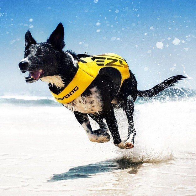 Ezydog - Life Jacket X2 Boost Yellow  xs  7-11 kg 1