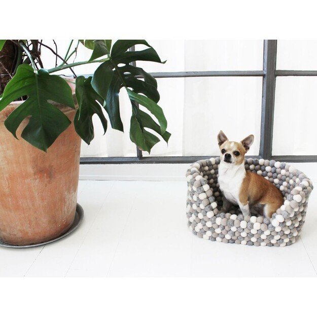 Wooldot - Dog Bed - Light Grey - Medium - 60x40x20cm - (571400400011) 1