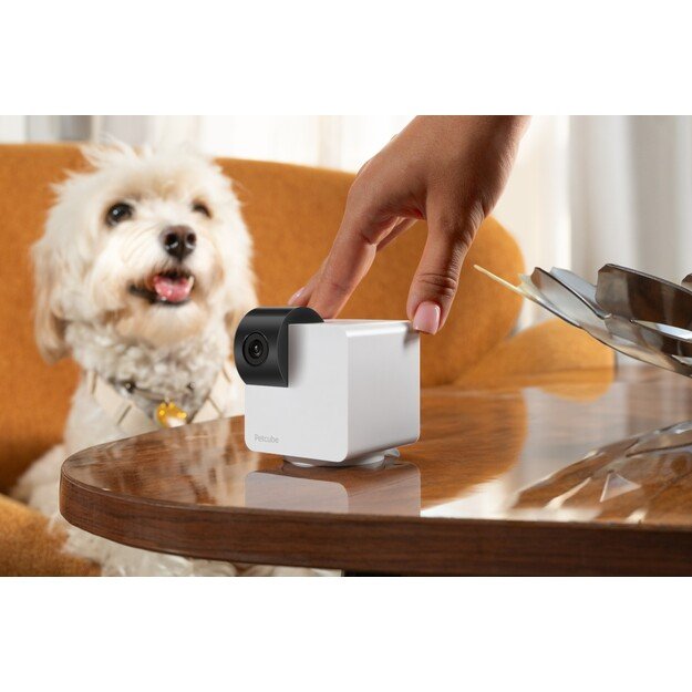 Petcube - Petcube Cam 360 - (854592007523) 2