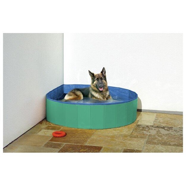 Flamingo - Doggy Splash Pool Green/Blue L 160X30CM - (540058500219) 1