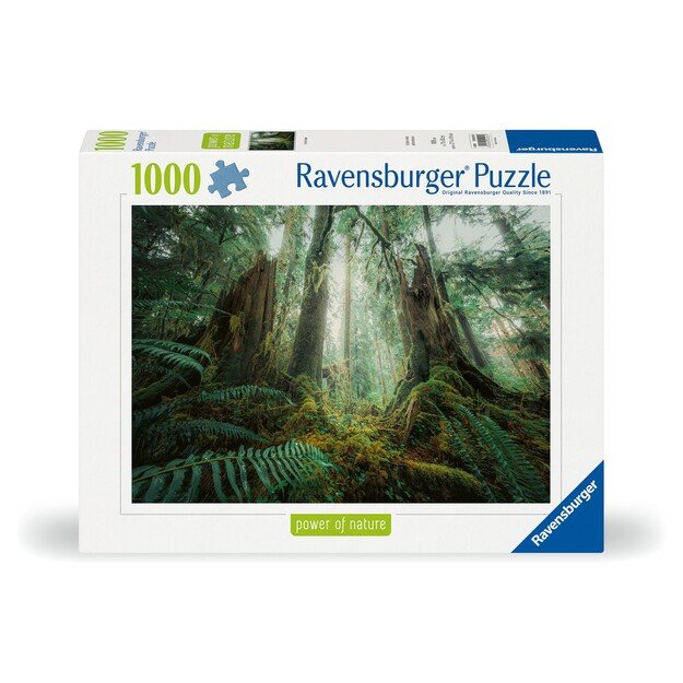 Ravensburger - Puzzle Woods 1000p (12000292) 2